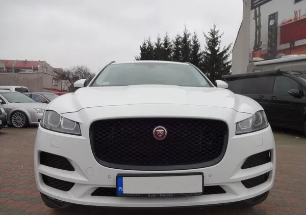 Jaguar F-Pace cena 136900 przebieg: 109000, rok produkcji 2016 z Białystok małe 191